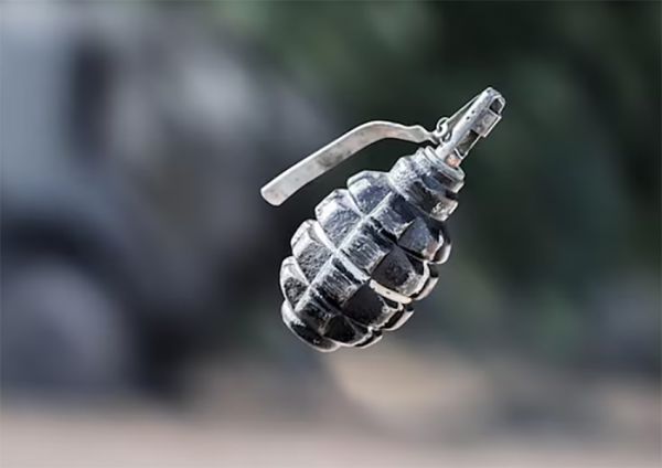 В Николаеве СЗЧ-шник продал гранаты, которые «нашел на мусорке»