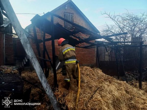 В Николаевской области горели камыш и сухостой на площади три гектара