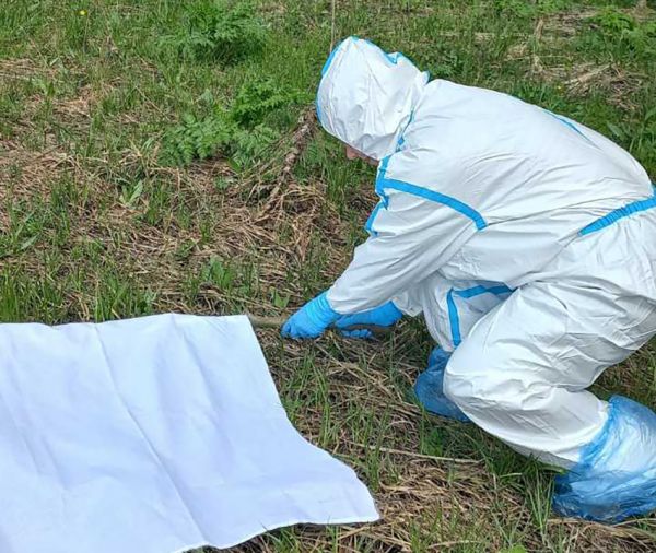 На Николаевщине эпидемиологи собирают клещей для лабораторных проб, чтобы оценить риски для населения