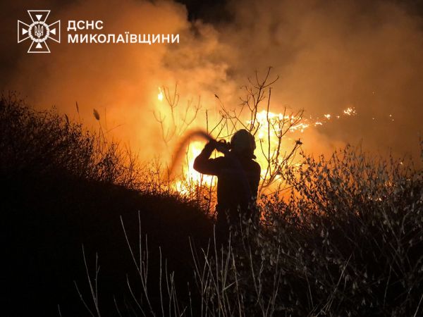 В Николаевской области в шести местах жгли автомобильные шины, кустарники, сухостой