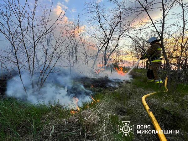 Из-за поджигателей в двох общинах Николаевщины горело на площади три гектара