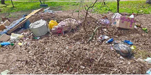 В Ингульском районе Николаева кучи с осенней листвой превратились в весенние гниющие свалки