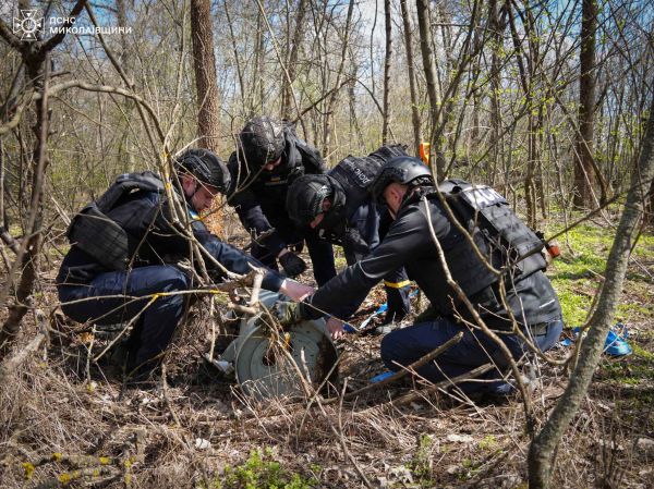 Боевая часть российской ракеты Х-101 упала в лесопосадке Николаевской области