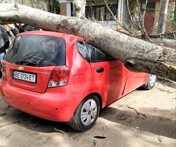 В Николаеве поваленные штормом деревья стали главной причиной разрушений (фото)