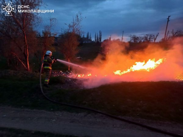 Ночью и днем в Николаевской области пылали сухая трава и камыши
