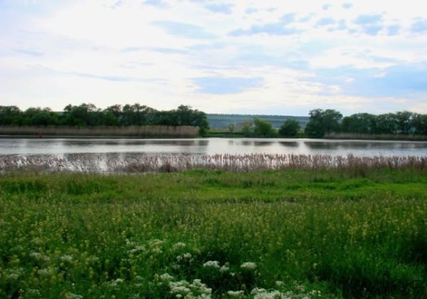 В Николаевской области у государства украли водохранилище