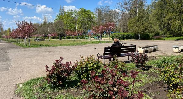 Круговорот лавок в Николаеве: в парке «Юность» установили скамейки, снятые с Центрального проспекта