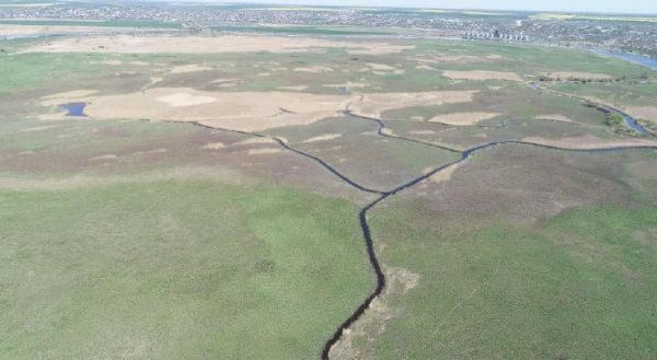 В Николаевской области узаконили статус Ковалевских плавней: подробности о новом заказнике