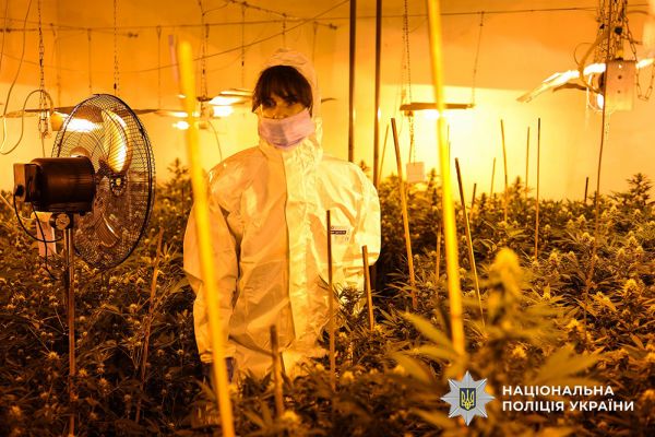 Технологии на службе криминала: в Николаеве накрыли тепличный наркоконвейер