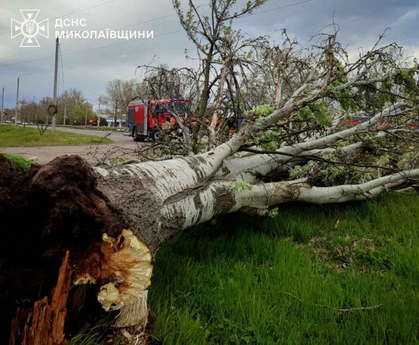 Николаевские спасатели ликвидировали последствия шквального ветра. Фото