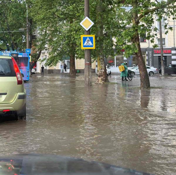 Николаев ушел под воду: ливень стеной затопил улицы и повалил деревья (фото,)