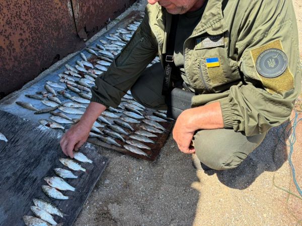 Браконьер на Бугском лимане: ловил судаков, пузанков, тарань, сельдей