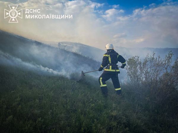 За прошедшие сутки в Николаевской области горели здания и сухая трава
