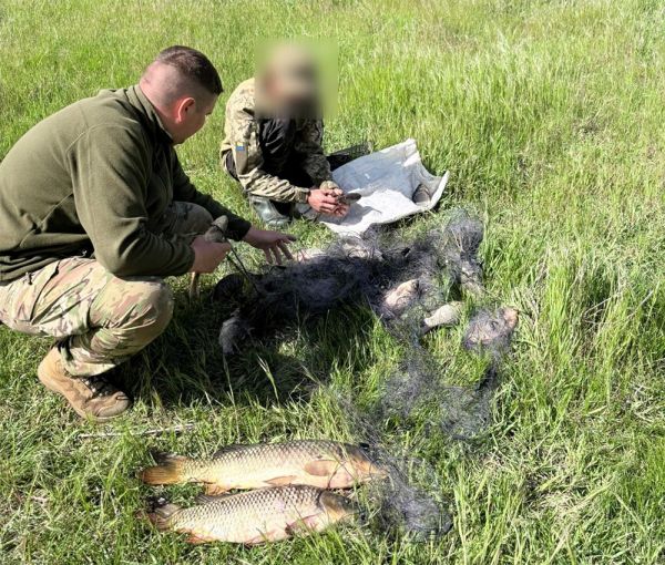 На Николаевщине несколько рыбин из Южного Буга обойдутся браконьеру дороже деликатесов