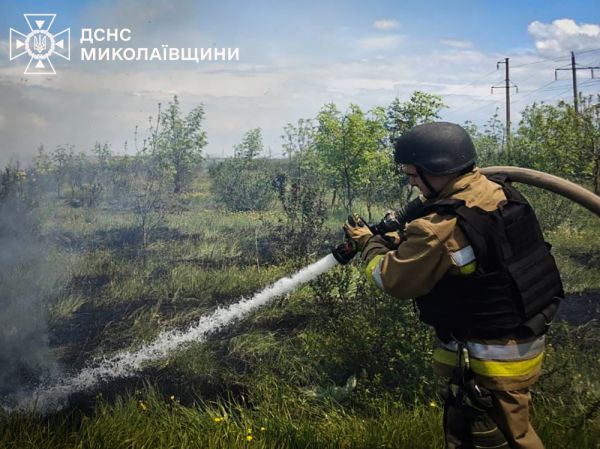 В Николаевской области за сутки выжжено почти 0,4 гектара сухостоя
