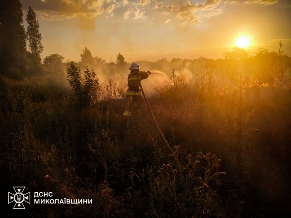 В Николаевской области за сутки спасатели ликвидировали более двух десятков пожаров