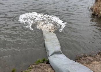 Николаевщина – лидер по зарыблению: в водоемы выпустили сотни тысяч мальков