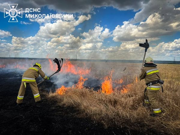 В Николаевской области вместе с сухостоем сгорела дача