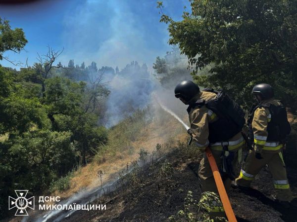 В Николаевской области за сутки выгорело 30 гектаров земли