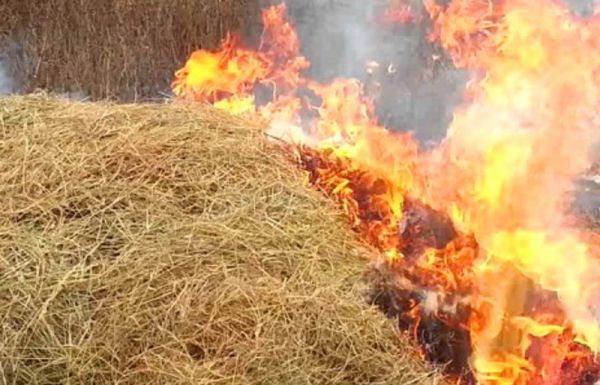В Николаевской области сгорело сено в частном дворе