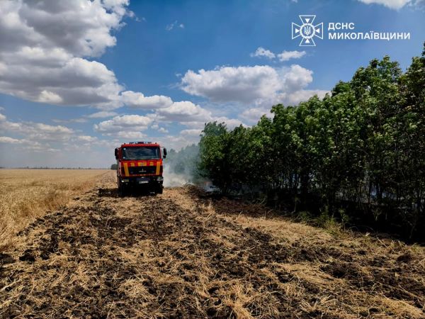В Николаевской области загорелось пшеничное поле