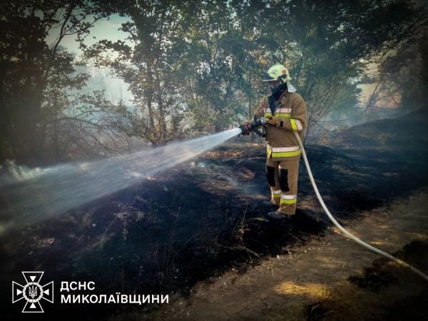 Во время пожаров в Николаевской области за сутки выгорели земли, дома и лес