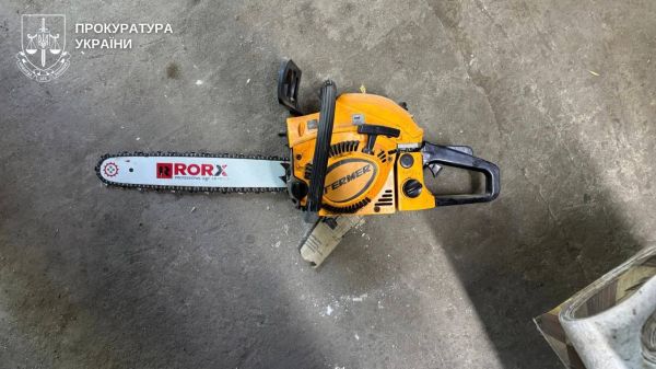 На Николаевщине поймали банду браконьеров, которая полгода пилила лесополосы в промышленных масштабах