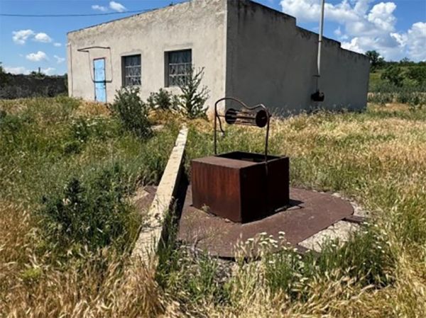 На Николаевщине четверо юных живодеров бросили кота в колодец и сняли это на видео