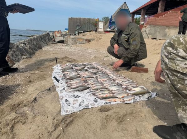 На Черноморской косе возле Очакова сетку с таранями оценили в 200 тысяч гривен