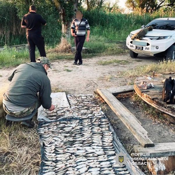 В Николаевской области на Южном Буге браконьер наловил сетками пузанков на миллион гривен
