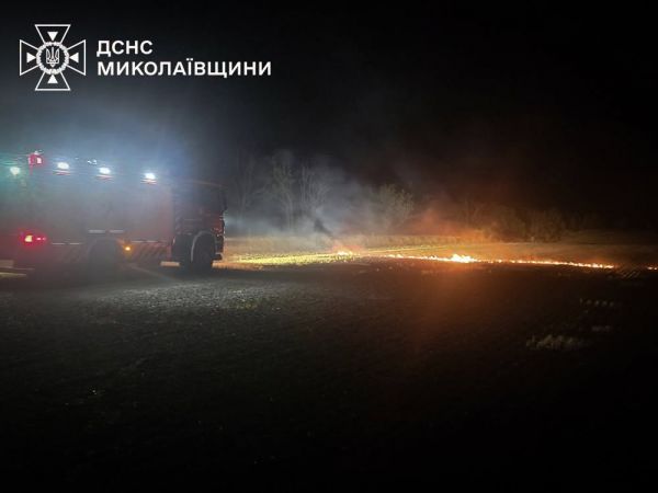 Пожары на Николаевщине: атаки дронов, горящие авто и 20 гектаров сухостоя