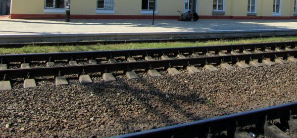 В Николаевской области мужчина засеял ячменем и пшеницей почти 8 гектаров «железнодорожной» земли