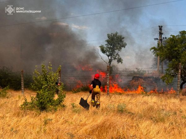Под Николаевом потушили огромный пожар: выгорело 100 гектаров