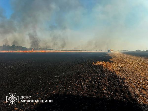 На Николаевщине за сутки из-за вражеских обстрелов и жары сгорело 74 гектара урожая
