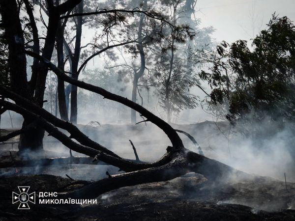 В Николаевской области за сутки произошло 40 пожаров