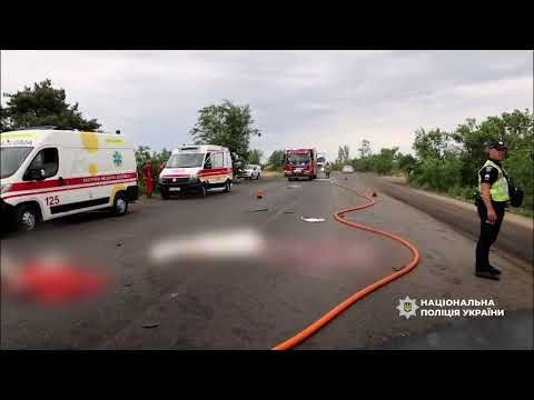 Полиция задержала водителя кроссовера, который вероятно спровоцировал смерть 12 людей на трассе возле Николаева. Фото