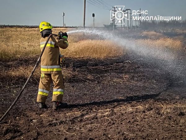 В Николаевской области за сутки агарии потеряли 4 гектара пшеницы