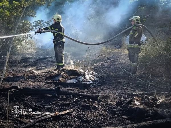 В Николаевской области сухостой пылал на площади 18 гектаров