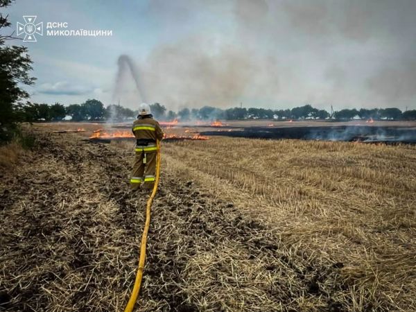 В Николаевской области начинают выжигать стерню