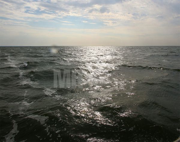 За Коблево нашли тело девочки, которую почти три недели назад унесло в море на круге