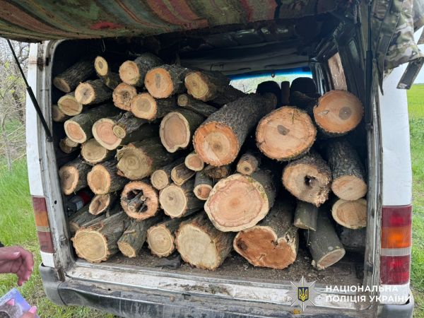 Пилили лесополосы в промышленных масштабах: на Николаевщине банда уничтожила деревьев на 600 тысяч