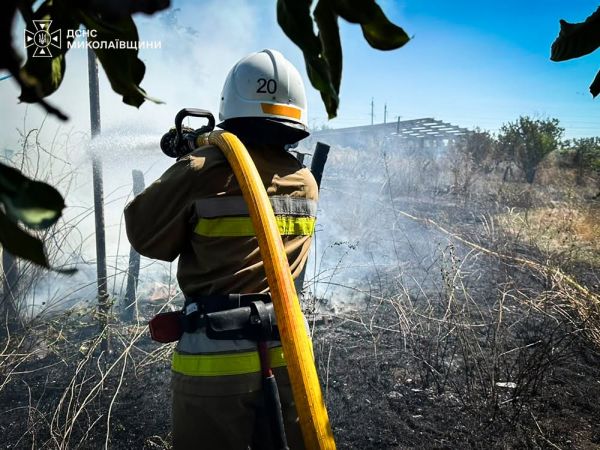На Николаевщине за сутки выгорел 21 гектар земли, одного поджигателя нашли