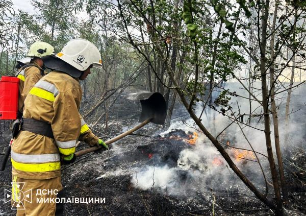 В Николаевской области палят сухостой и горят здания