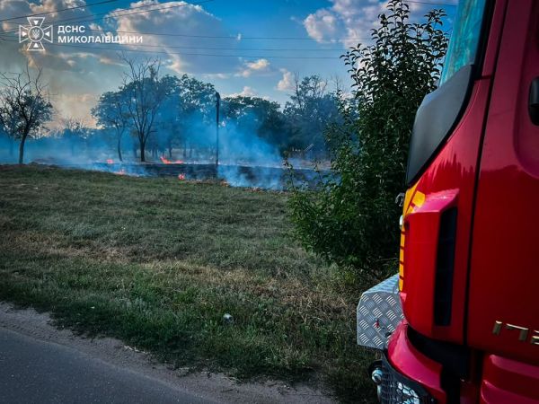 Под Вознесенском тушили горящий лес: привлекали спасателей, лесников и местных жителей