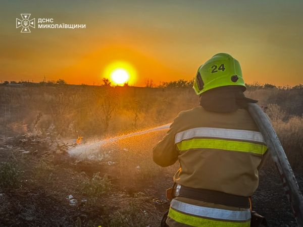 Огненный шквал на 22 гектарах Николаевской области: за сутки уничтожены три здания, два авто