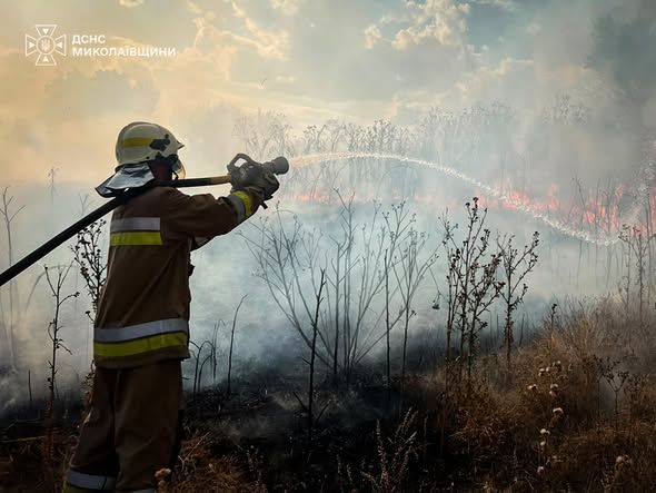 В Николаевской области сгорели три автомобиля и ульи