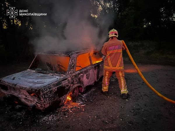В Николаевской области за сутки огонь уничтожил более 27 гектаров сухостоя, гараж и 