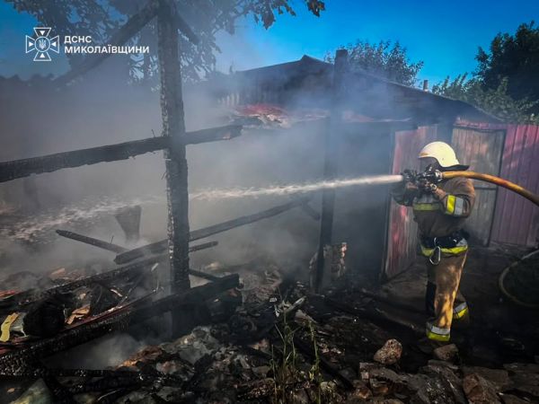 В Николаевской области вместе с кустарниками сгорели четыре дома и хозяйственные постройки
