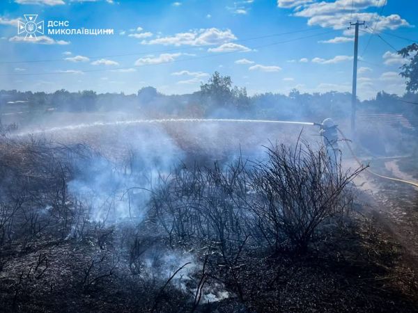В Николаевской области за сутки огнеборцы тушили 30 гектаров сухостоя