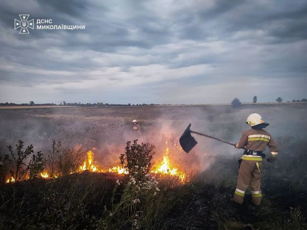 В Николаевской области за сутки огонь охватил жилой сектор и 20 гектаров сухостоя